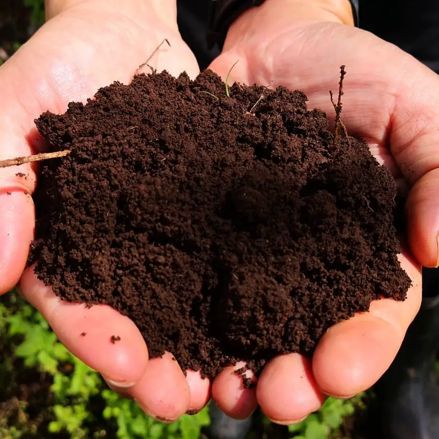 Best Soil For Roses Know Your Soil SONG OF ROSES