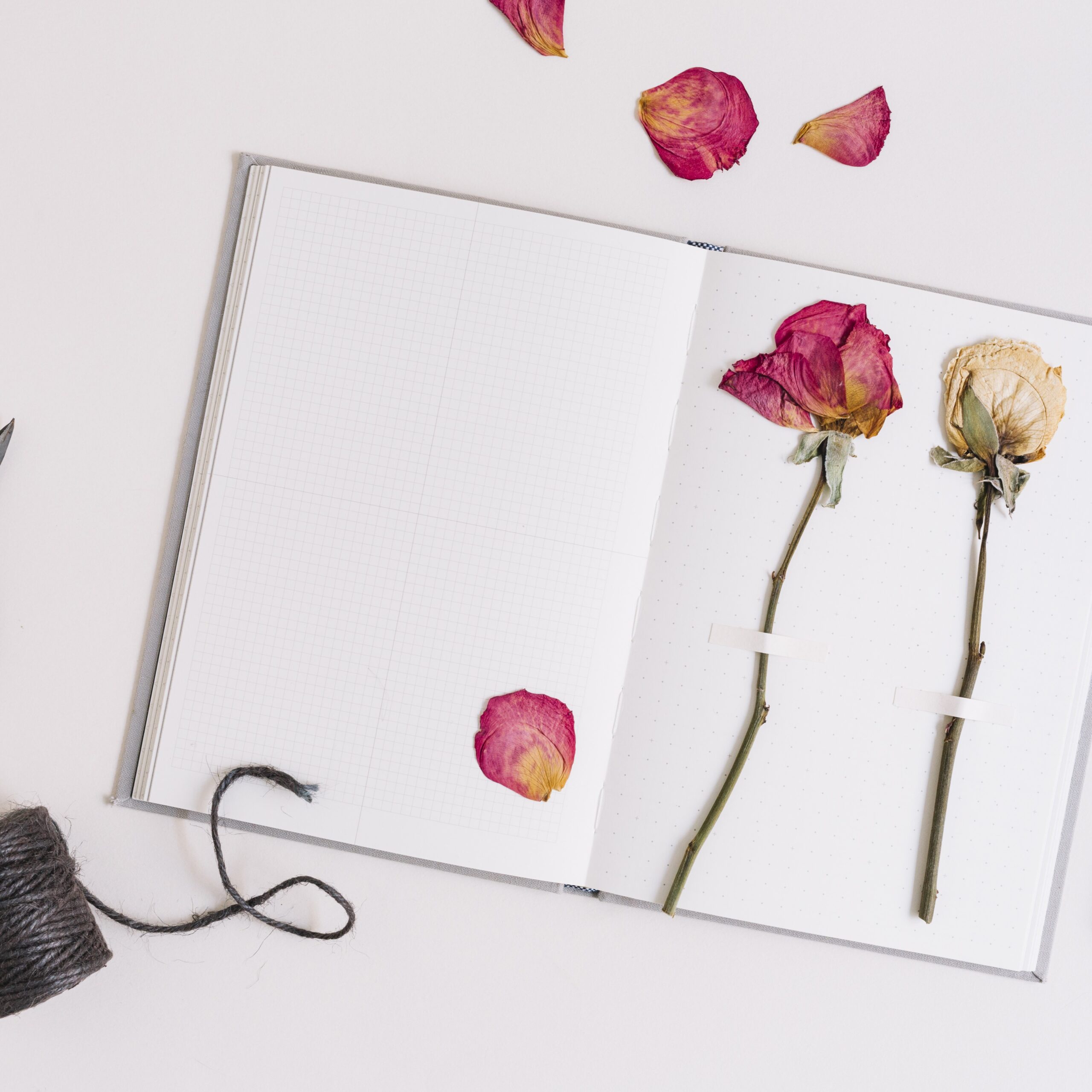 How To Dry Rose Petals Methods & Uses SONG OF ROSES