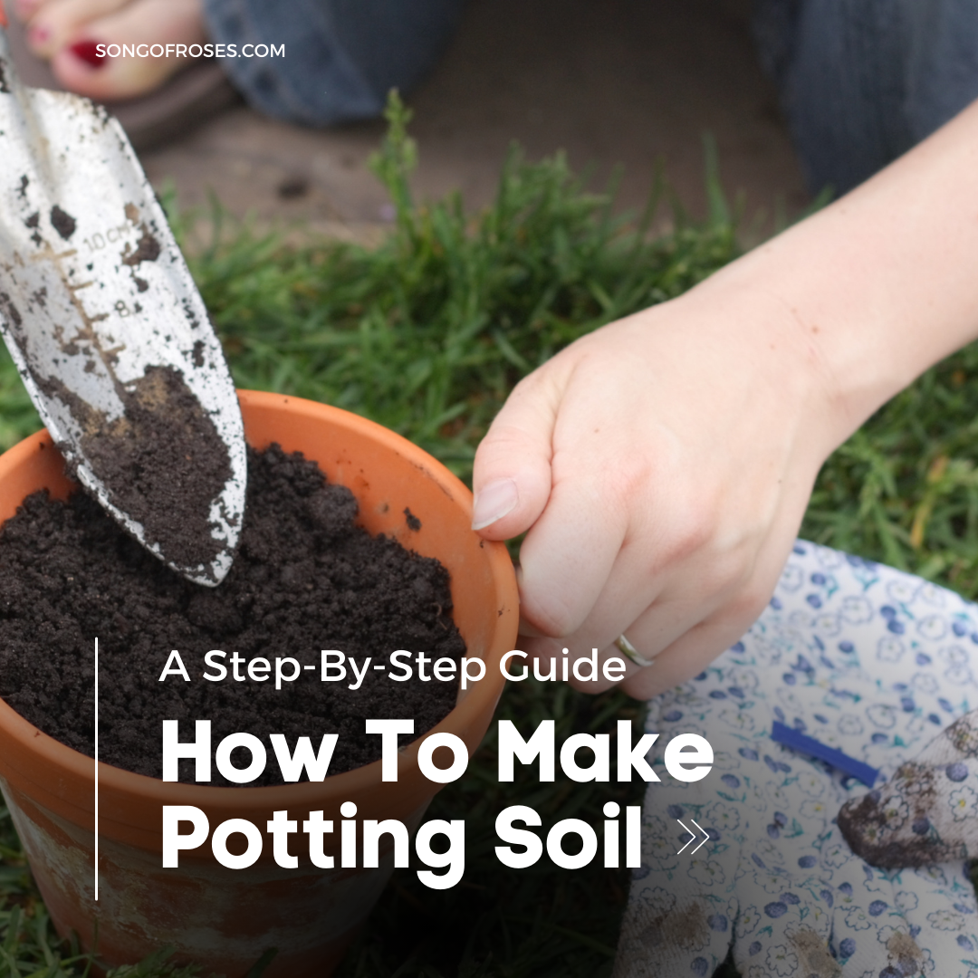 How To Make Potting Soil (A Step-By-Step Guide) - SONG OF ROSES